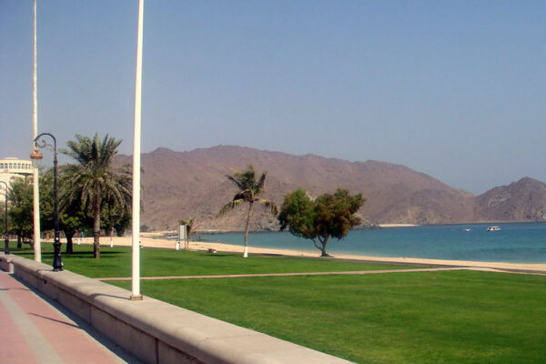 Full Day Fujairah East Coast Tour - Image 3