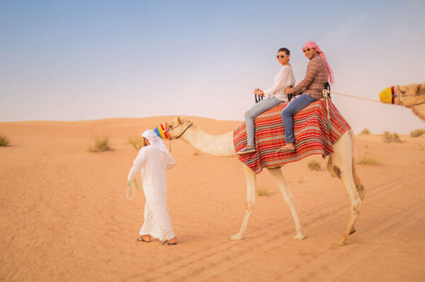 Camel Riding Dubai Tours