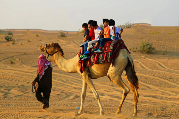 Overnight Desert Safari Dubai - Image 6