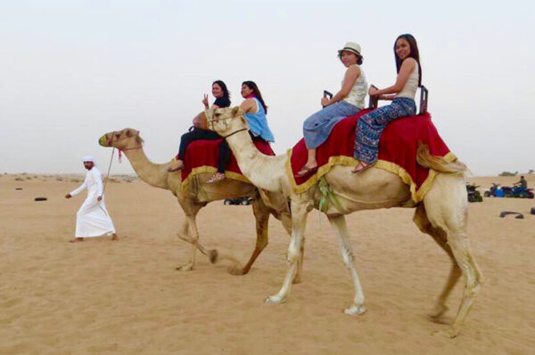 Camel Riding Dubai Tours - Image 3