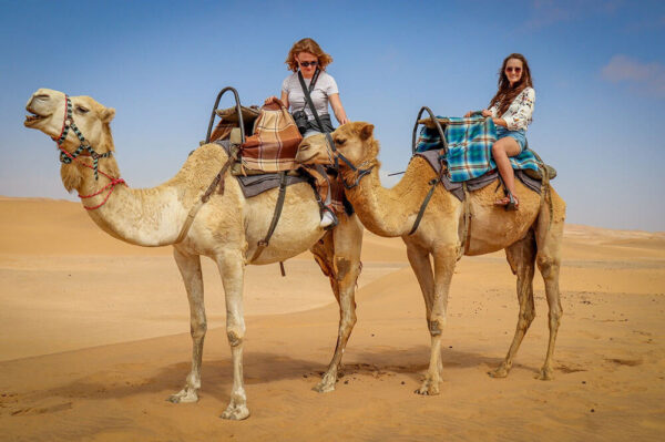 Camel Riding Dubai Tours - Image 2