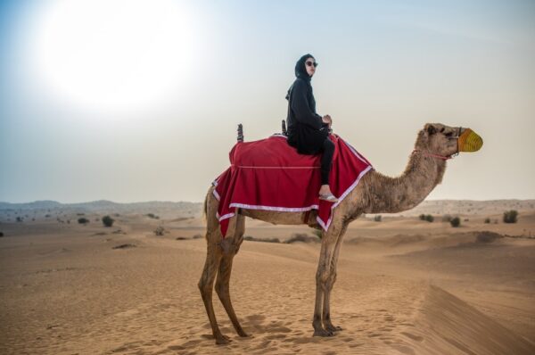 Camel Riding Dubai Tours - Image 6