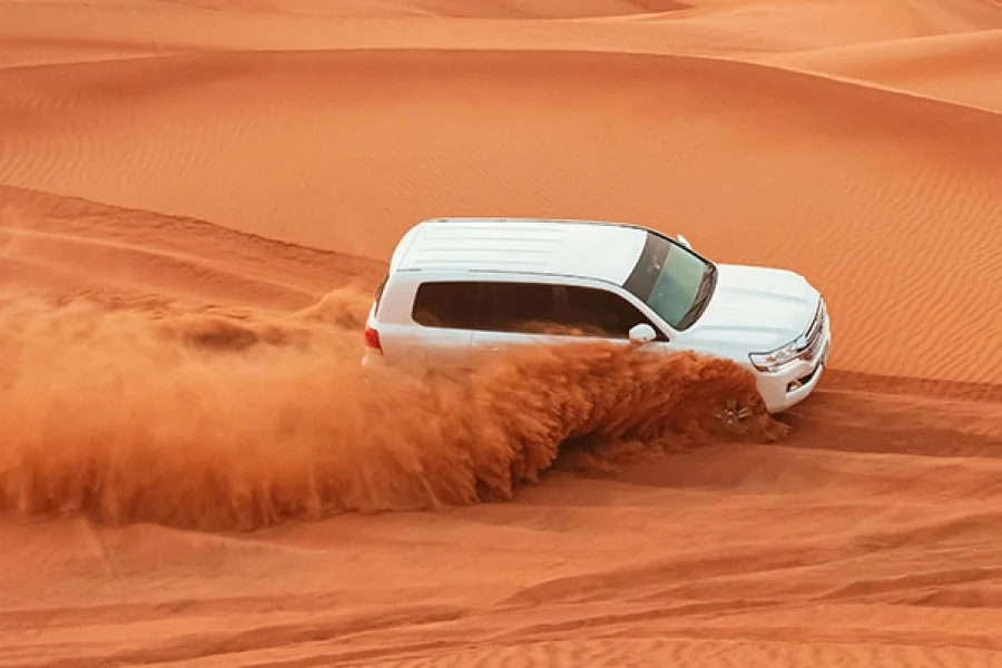Liwa Desert Safari